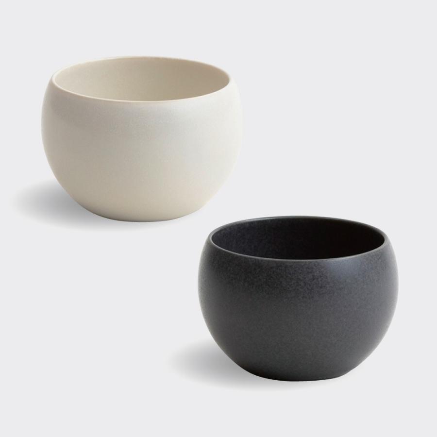 SALIU（サリュウ） 土瓶急須5点セット(土瓶急須600ml+湯呑み180ml2点+