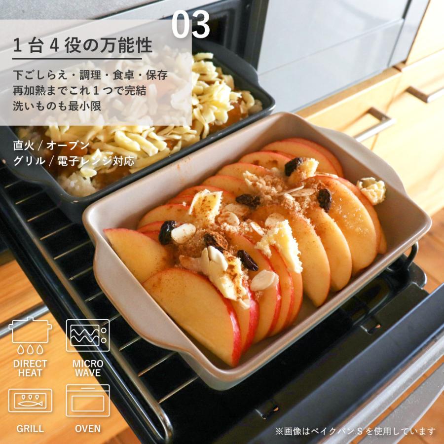 SALIU（サリュウ） グリルプレート 蓋付き 1人用 耐熱陶器 美濃焼 The