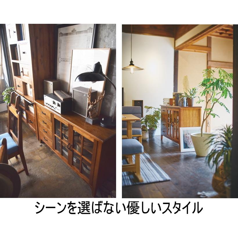 東谷 リビングボード レトロ AVチェスト 扉 幅120cm アジアンリビング