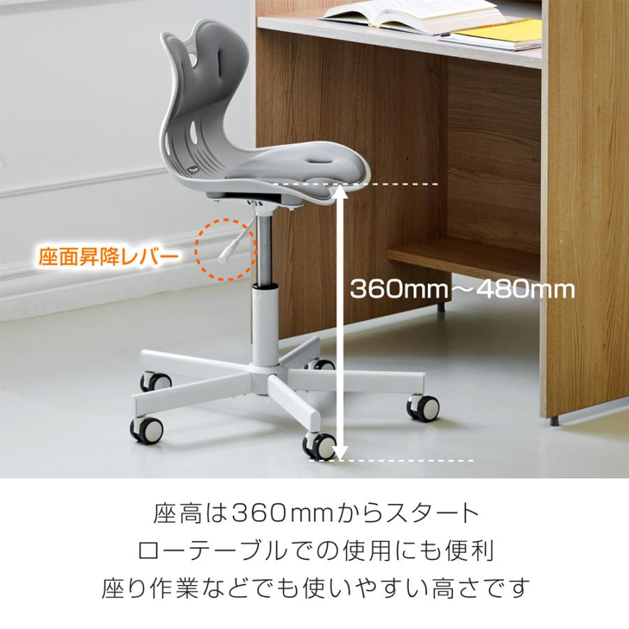デュオレスト（DUOREST） 腰痛対策 骨盤サポート メディカルチェア 