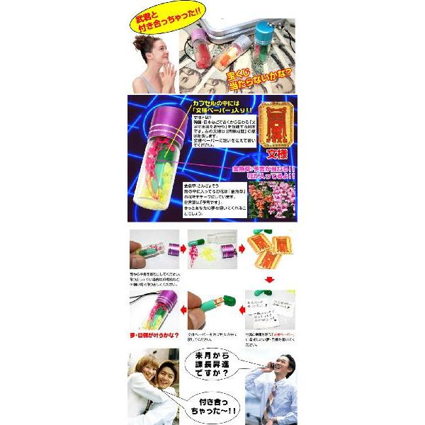 願いを叶えちゃう！？　≪ドリームストラップタイムマシン≫ |  | 02