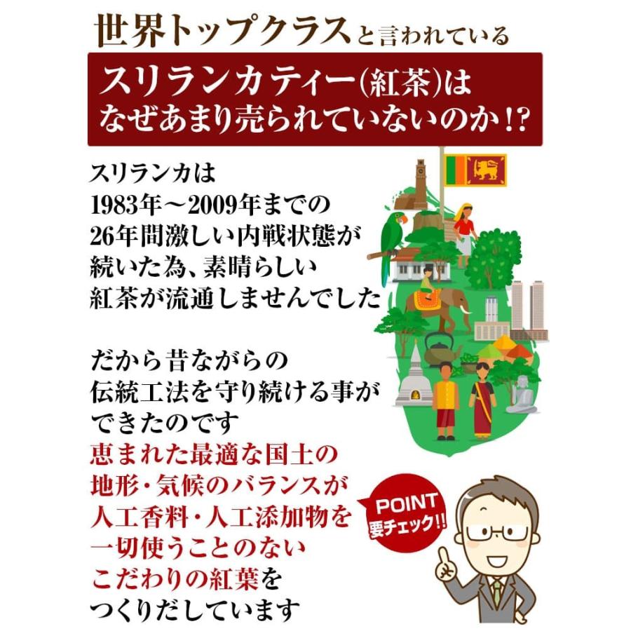 ＼大容量100g／ 4,980円が53%OFF 幸福を呼ぶ芦屋ふくろう紅茶 最高級セイロンティー 100%スリランカ産 選べる7種類 見てわかる茶葉の良さ｜again｜19