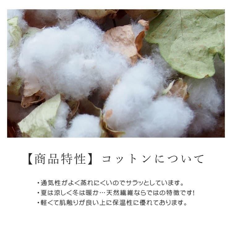 靴下 日本製 さらさら綿（コットン）素材 つぶつぶリブソックス レッグウェア クルー丈 冷房対策 履き心地バツグン Made in Japan ネコポス/ポスト投函 |  | 02