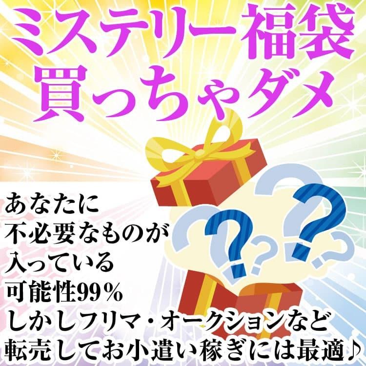 ミステリー福袋 1万1000円コース 送料無料