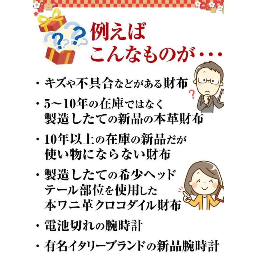 ミステリー福袋 1万1000円コース 送料無料_2