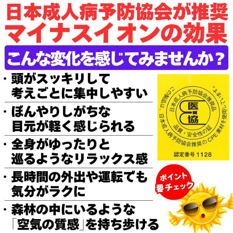 偏光サングラス マイナスイオン発生機能付 福井県鯖江市57年以上の歴史と信頼のブランド冒険王 CP5 |  | 06