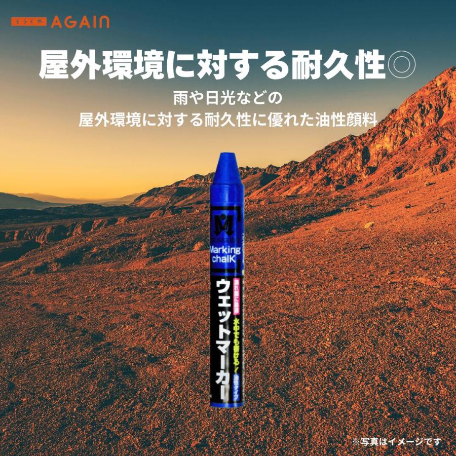 スーパーウエットマーカー　(12本パック） お買い得選べる2箱セット　祥碩堂 |  | 06