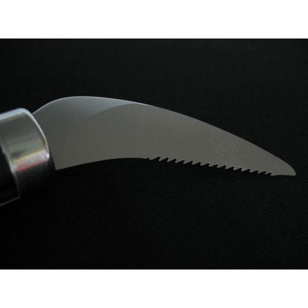 メール便送料無料 雑草抜鎌　nisaku NO140 富田刃物 |  | 02