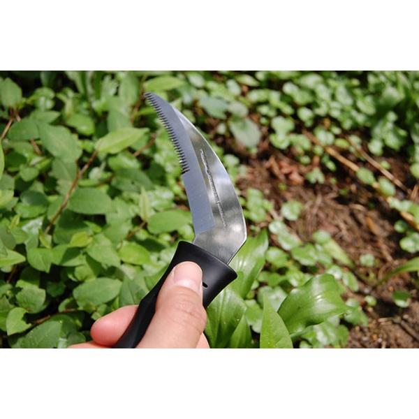 メール便送料無料 山菜採小刀　nisaku NO945 富田刃物 |  | 02