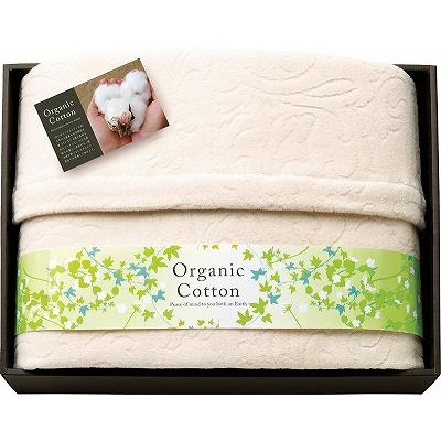 Panton パントン INNOVATION イノベーション ファントム