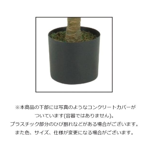 クワズイモ(S)/約130〜140cm BT-2034-S／人工観葉植物 フェイクグリーン 大型 インテリア_1