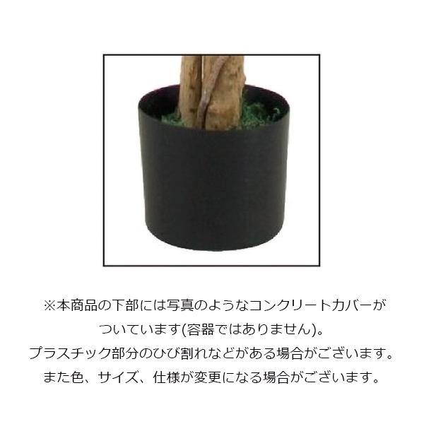 210cmフィカスツリー(L)(ナチュラルトランク) NGT-2017-L／人工観葉植物 フェイクグリーン 大型 インテリアの画像