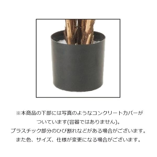 シュロチク(ナチュラルトランク)/170cm NGT-2039／人工観葉植物 フェイクグリーン 大型 インテリア_1