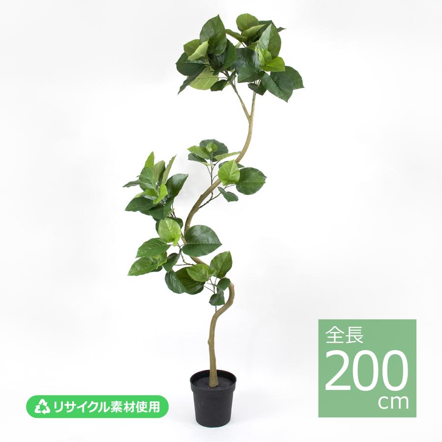 ツイストウンベラータポット(組立式)/200cm VR23099-024／人工観葉植物