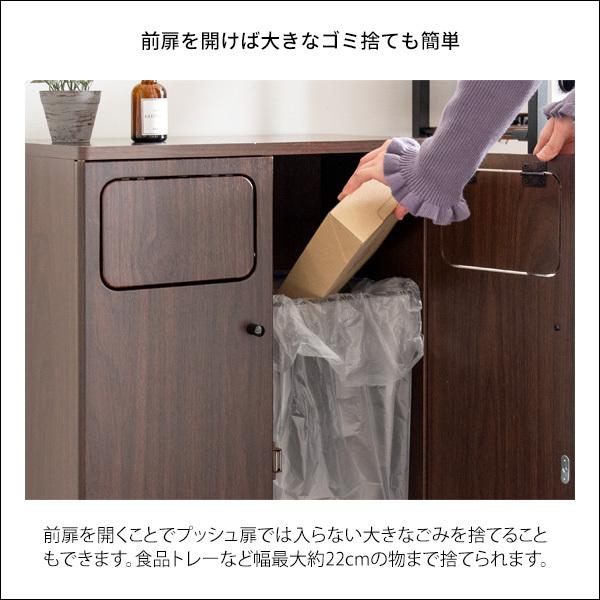 宮武製作所 ゴミ箱 ごみ箱 おしゃれ 2連式 45リットル 分別 幅50