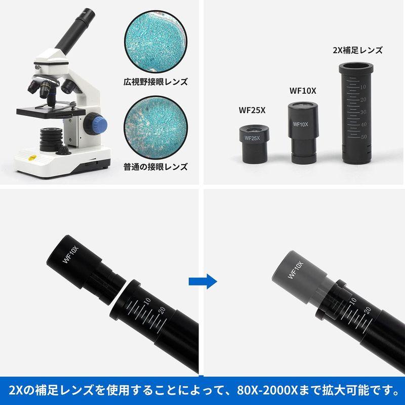 SWIFT 子供用 顕微鏡 80X-2000X 生物顕微鏡 小学生 初心者向け プレパラート付き スライドガラス スマホ 撮影 回転式単眼ヘ     商品情報    【商品名】　SWIFT 子供用 顕微鏡 80X-2000X 生物顕微鏡 小学生 J1255687676(11048円)
