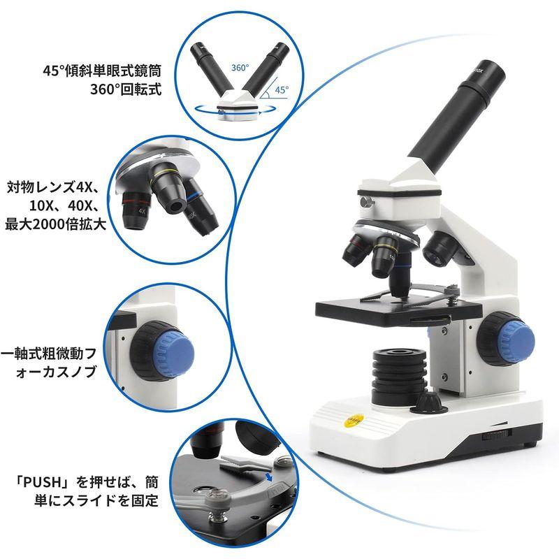 SWIFT 子供用 顕微鏡 80X-2000X 生物顕微鏡 小学生 初心者向け プレパラート付き スライドガラス スマホ 撮影 回転式単眼ヘ     商品情報    【商品名】　SWIFT 子供用 顕微鏡 80X-2000X 生物顕微鏡 小学生 J1255687676(11048円)