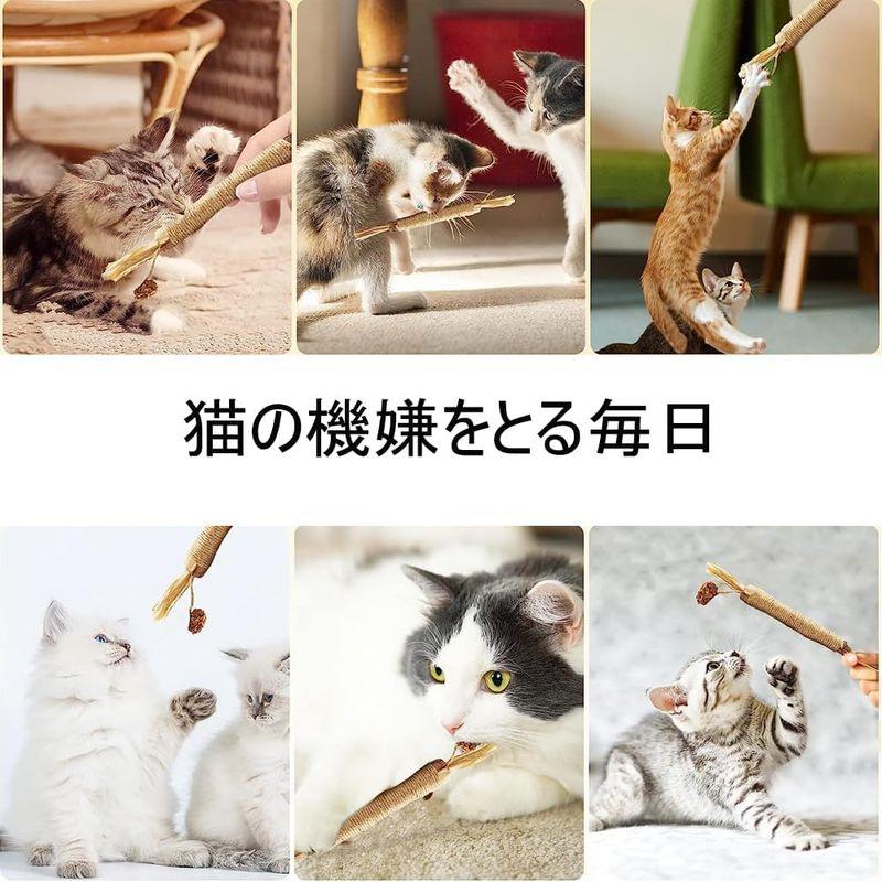 YIBOOOM 猫歯ぎしり棒 猫噛みおもちゃ 咀嚼おもちゃ 天然安全無添加 純天然肥満解消 歯のクリーニングスティック ストレス解消 木おも｜ageha-shop｜08