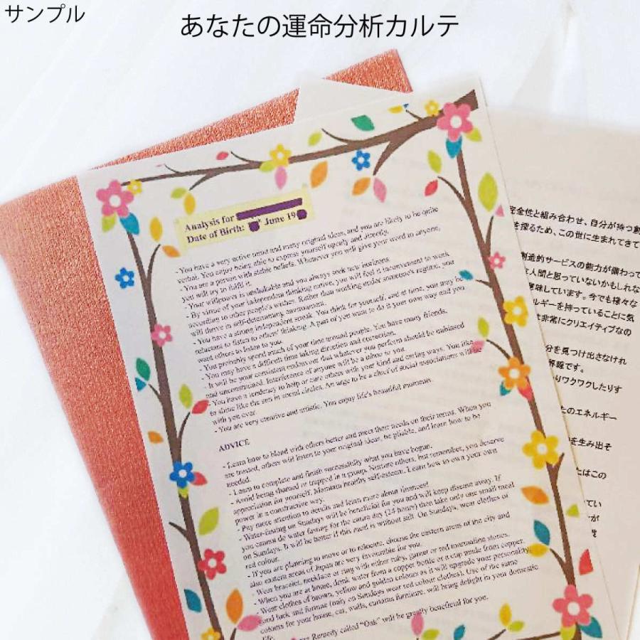 オーダーメイドの スマートフォン用ダウンロード版 |  | 01