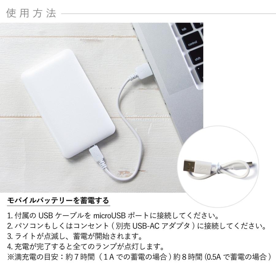 小枝鳥 楽天市場】五羽の小鳥たちクリップバード 小鳥置物 木枝に小鳥が
