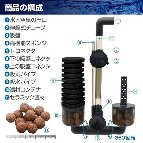 5年保証 生き物 生体 Onion 水槽 フィルター スポンジ ダブル 濾材付き 物理濾過 生物濾過 エアーリフト方式 吸盤 Mサイズ Www Virginiawaldenford Com