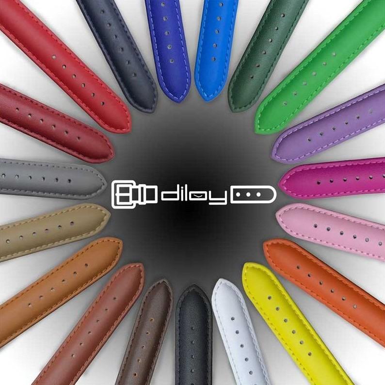 Diloy 腕時計ベルト 24mm レザー 302シリーズ バンド 本革 ピンク