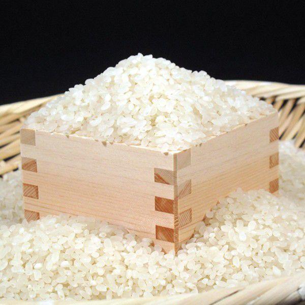 日本一美味しい米を作る遠藤五一さんの杭掛け天日干し有機栽培コシヒカリ（白米）5kg[令和4年産特A米] :EG0905TH:青山グルメ