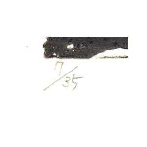 木 絵画 花 銅版画 エッチング アクアチント 朝日みお 「幸福な樹」 額
