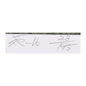 絵画 版画 シルクスクリーン 池上壮豊 【涼風】 「苑-16」 額付き