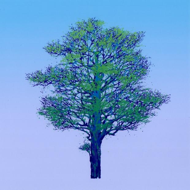 木 絵画 樹 絵 版画 シルクスクリーン 池上壮豊 「樹-9」 額付き