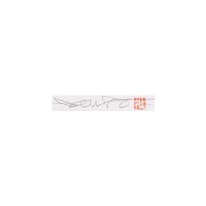 桜 絵画 花 和風 シルクスクリーン 版画 池上壮豊 「桜・絹ぐも」 額