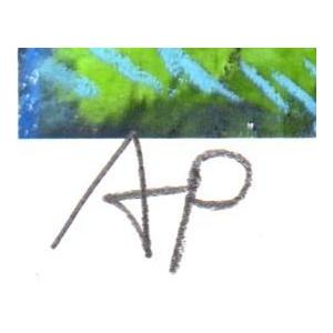 花 絵画 野アザミ 風景画 神奈川県横浜市 ジークレー 版画 石井清