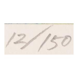 アマゾン 風景画 絵画 ブラジル 版画 ジークレー 磯野宏夫