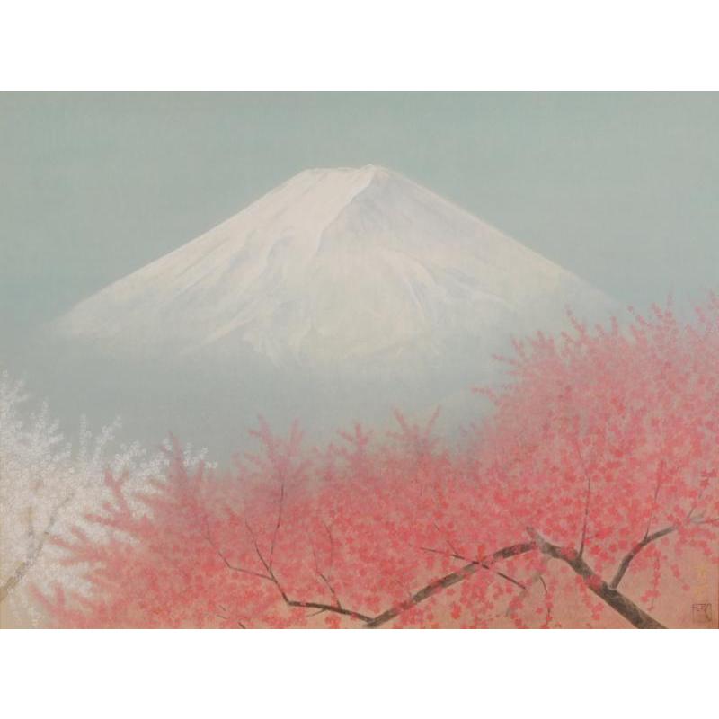 富士山 絵画 梅 花 絵 和風 日本画 木下育應 「大和悠久 梅花芳春」 額付き｜agmotokawa｜02