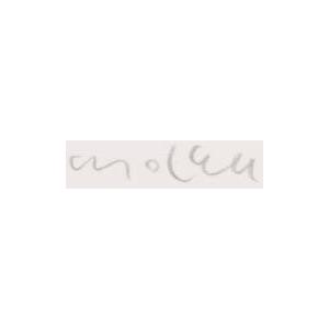 ポップアート 絵画 マイケル・ルー 「星座シリーズ・水瓶座」 シルク