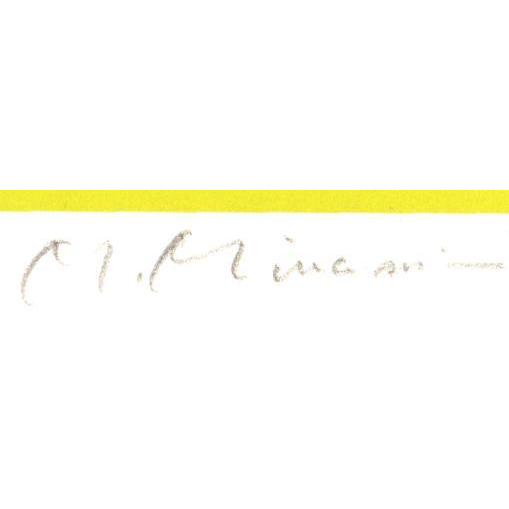 現代アート 絵画 抽象画 現代美術 シルクスクリーン 版画 南正雄