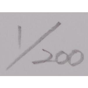 シクラメン 絵画 花 静物画 版画 ジークレー 内藤謙一 「スタイル・2