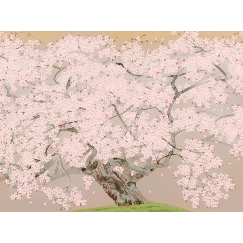 中島千波 春麗山桜 桜 絵画 和風 日本画家 シルクスクリーン 中島千波 春麗山桜 桜 絵画 和風 日本画家 シルクスクリーン