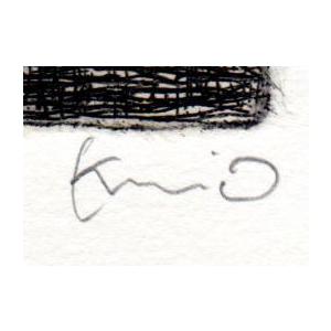 抽象画 絵画 銅版画 エッチング オバタクミ 「equinox」 額付き