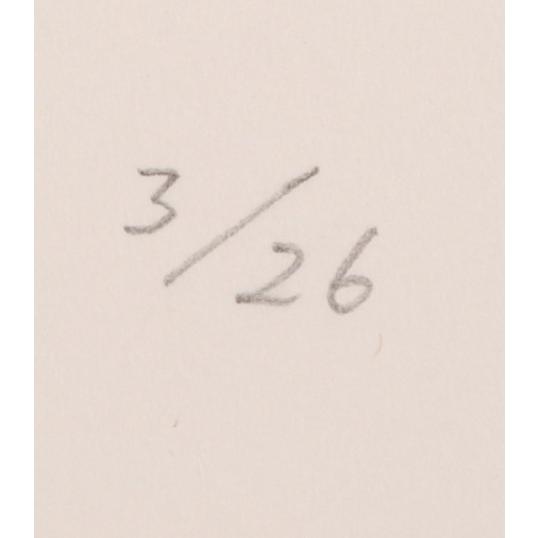 現代アート 絵画 抽象画 現代美術 シルクスクリーン 版画 島州一 「SP