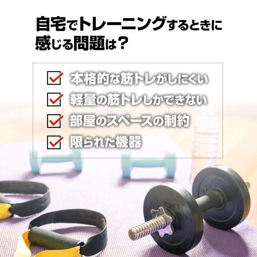 ホームジム 筋トレ 自宅 トレーニングマシン ケーブル ウエイト ホームジム 筋トレ 自宅 トレーニングマシン ケーブル ウエイト