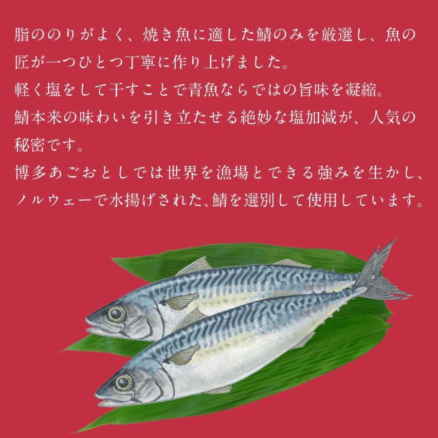 博多あごおとし さば一汐 1枚入 あごおとし 博多まるきた水産 博多あごおとし さば一汐 1枚入 あごおとし 博多まるきた水産