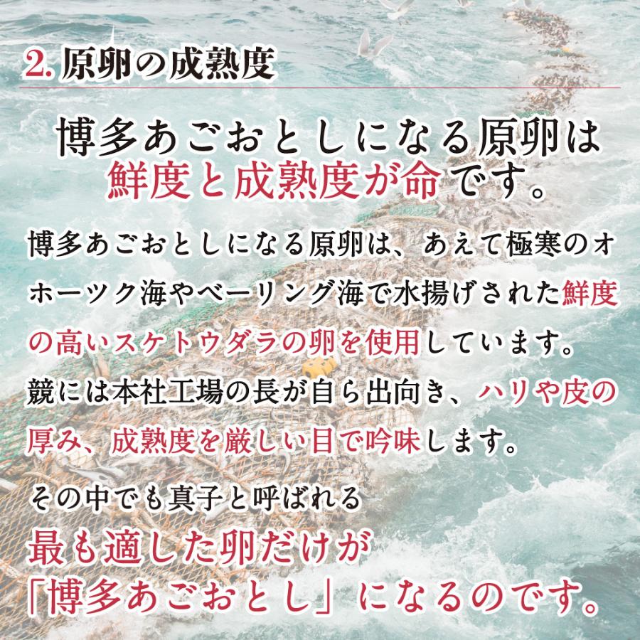 【送料込】＼まとめ買いクーポン有／明太子 博多あごおとし たらこ 切れ子 塩味 あごおとし まるきた水産 博多 博多あごおとし お取り寄せ たらこ タラコ | 博多あごおとし | 07