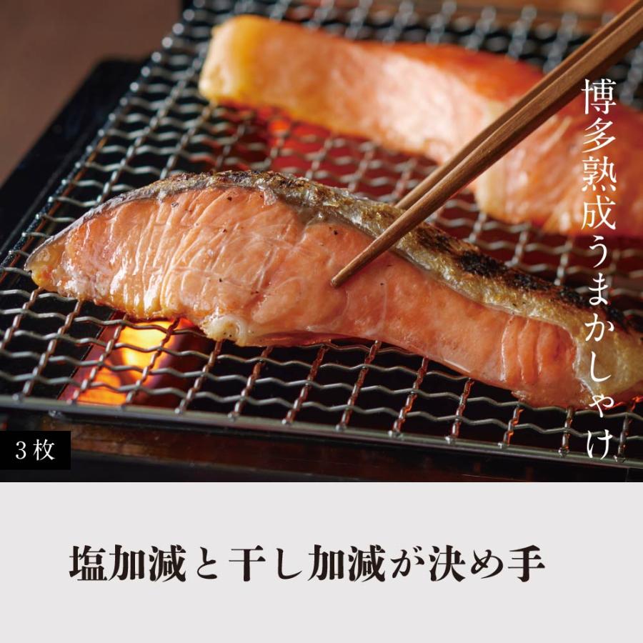 明太子 博多からの贈りもの 彩 博多まるきた水産 博多あごおとし 明太子 銀たら 西京漬け いわし明太 福岡 父の日 プレゼント 50代 60代70代 80代 ギフト 2025 | 博多あごおとし | 05