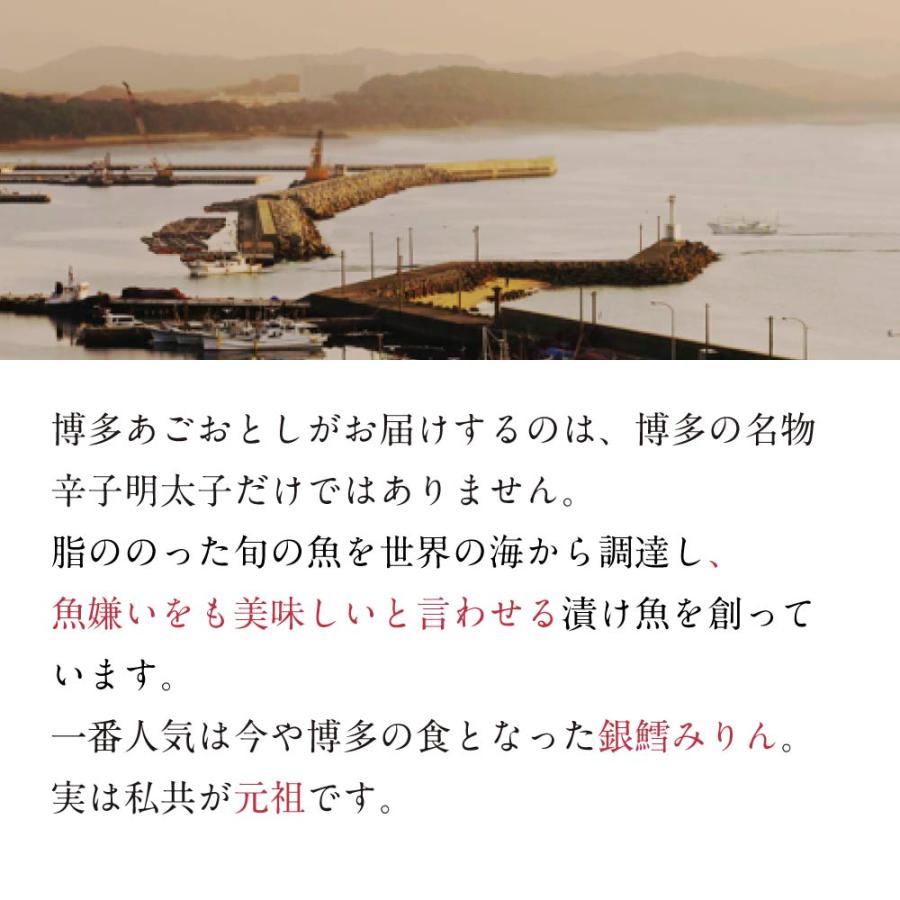 明太子 博多あごおとし お試しセット 博多まるきた水産 めんたいこ からし明太子 博多明太子 銀鱈 銀だら ピリシャケ 初回限定 送料無料 | 博多あごおとし | 08
