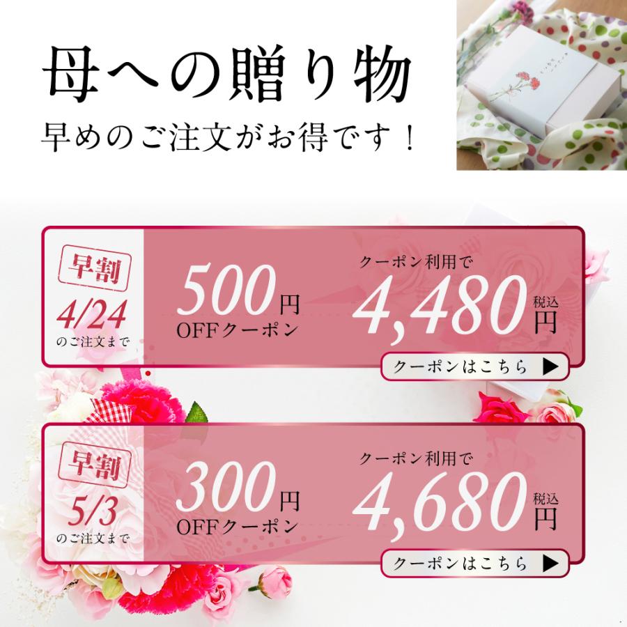 明太子 母への贈り物 | 母の日 母の日セット ギフト カーネーション メッセージカード 博多まるきた水産 博多あごおとし | 博多あごおとし | 01