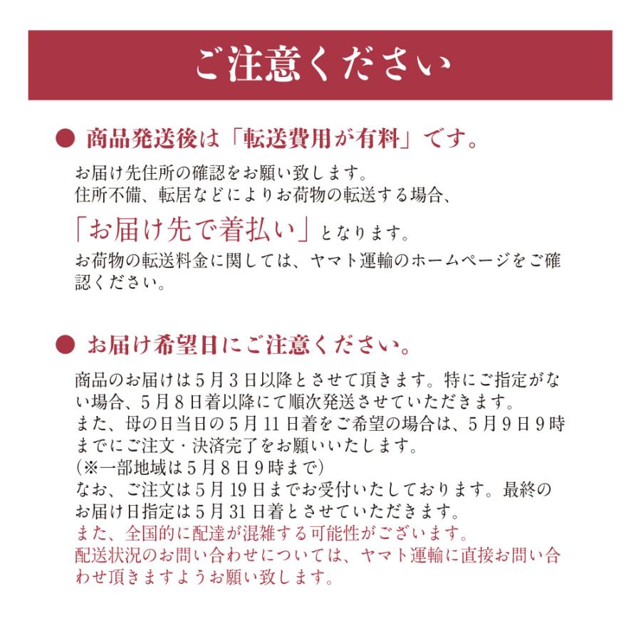 明太子 母への贈り物 | 母の日 母の日セット ギフト カーネーション メッセージカード 博多まるきた水産 博多あごおとし