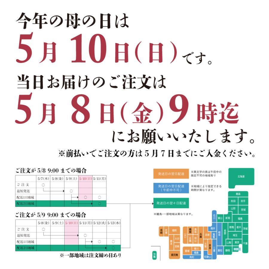 明太子 母への贈り物 | 母の日 母の日セット ギフト カーネーション メッセージカード 博多まるきた水産 博多あごおとし | 博多あごおとし | 10
