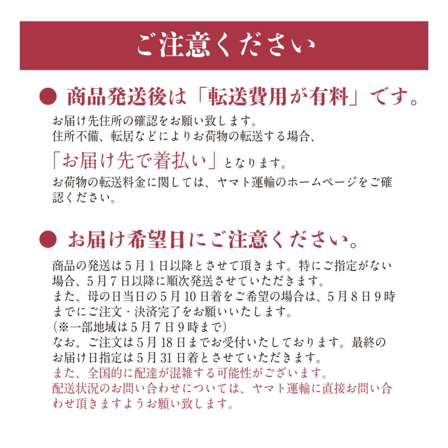 明太子 母への贈り物 | 母の日 母の日セット ギフト カーネーション メッセージカード 博多まるきた水産 博多あごおとし | 博多あごおとし | 11