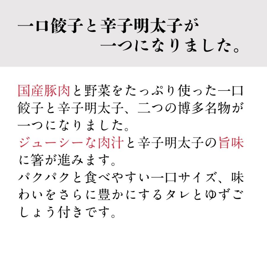 明太子 博多明太 ひとくち餃子 あごおとし 博多あごおとし お取り寄せグルメ 博多まるきた水産 明太子 ギフト 餃子 ぎょうざ ギョウザ | 博多あごおとし | 03
